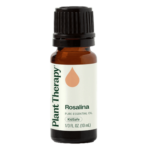 Rosalina Essential Oil by Plant Therapy - 10ml