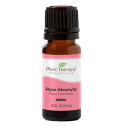 Rose Essential Oil by Plant Therapy - 10ml