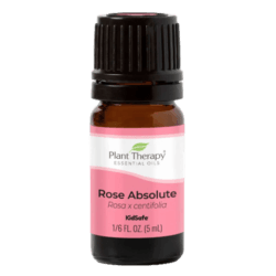 Rose Essential Oil by Plant Therapy - 5ml
