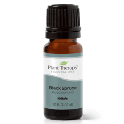 Spruce Black Essential Oil by Plant Therapy - 10ml