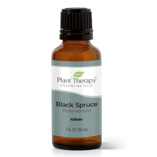 Spruce Black Essential Oil by Plant Therapy - 30ml - Image 2