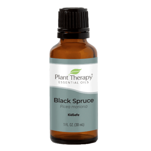 Spruce Black Essential Oil by Plant Therapy - 30ml