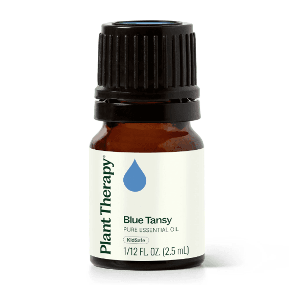 Tansy Blue Essential Oil by Plant Therapy - 2.5ml - Image 2