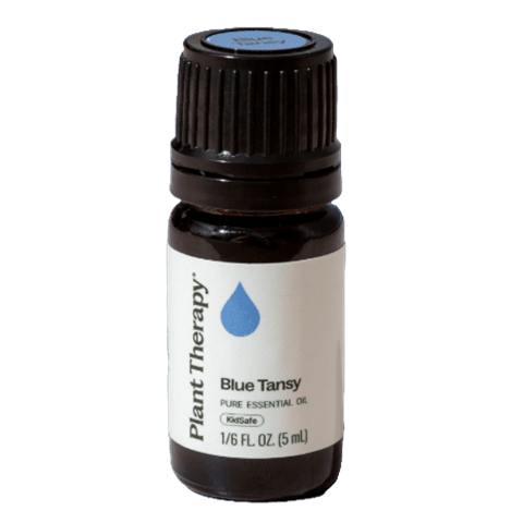 Tansy Blue Essential Oil by Plant Therapy - 5ml