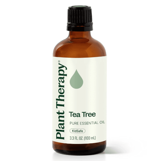 Tea Tree Essential Oil by Plant Therapy - 100ml - Image 2