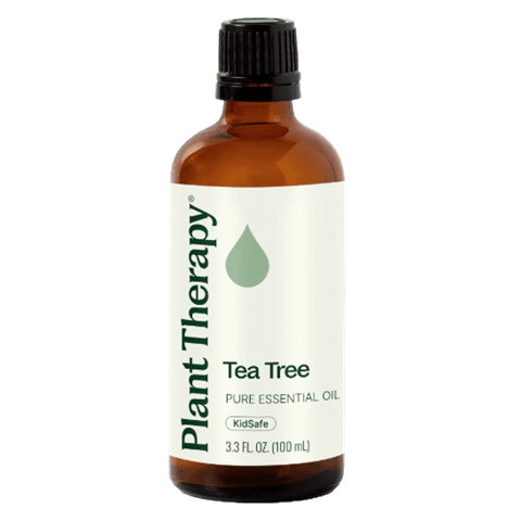 Tea Tree Essential Oil by Plant Therapy - 100ml