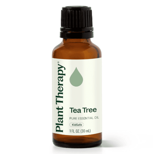 Tea Tree Essential Oil by Plant Therapy - 30ml - Image 2