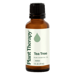 Tea Tree Essential Oil by Plant Therapy - 30ml