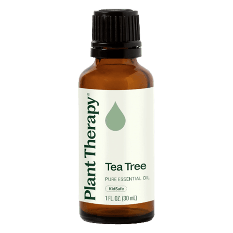 Tea Tree Essential Oil by Plant Therapy - 30ml