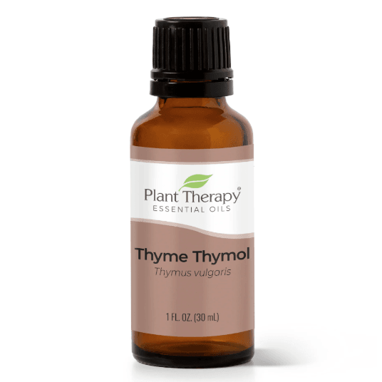 Thyme Thymol Essential Oil by Plant Therapy - 30ml - Image 2