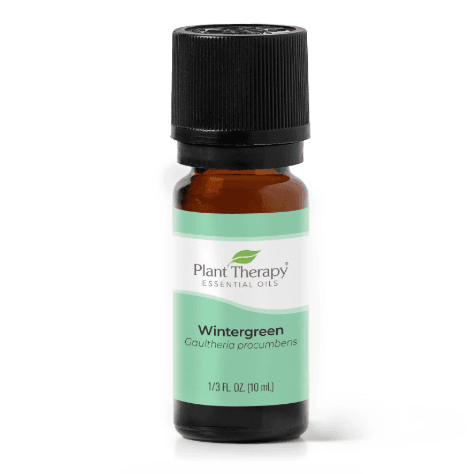 Wintergreen Essential Oil by Plant Therapy - 10ml - Image 2