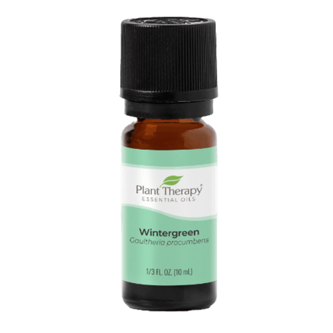 Wintergreen Essential Oil by Plant Therapy - 10ml