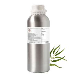 Eucalyptus Globulus Essential Oil by Plant Therapy - 1kg
