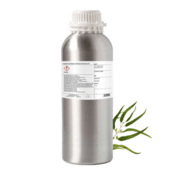 Eucalyptus Globulus Essential Oil by Plant Therapy - 500g