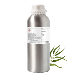 Eucalyptus Globulus Organic Essential Oil by Plant Therapy - 1kg