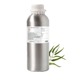 Eucalyptus Globulus Organic Essential Oil by Plant Therapy - 500g