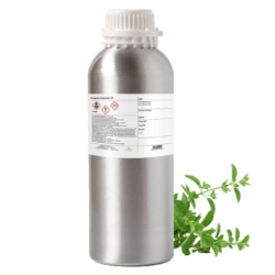 Oregano Essential Oil by Plant Therapy - 500 g