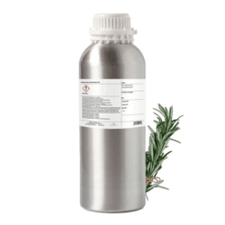 Rosemary Essential Oil by Plant Therapy - 500g