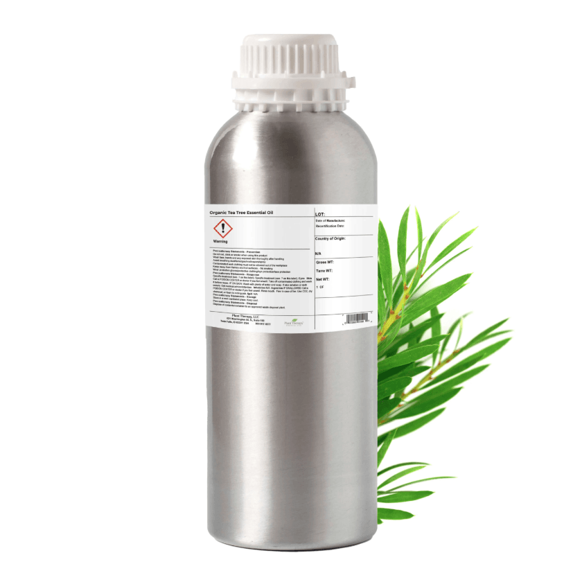 Tea Tree Essential Oil by Plant Therapy - 500g - Image 2