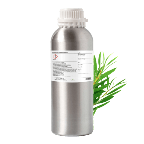 Tea Tree Essential Oil by Plant Therapy - 500g