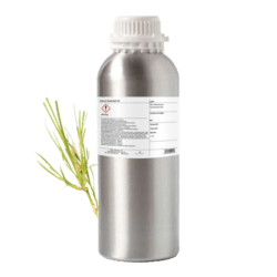 Vetiver Essential Oil by Plant Therapy - 1000g