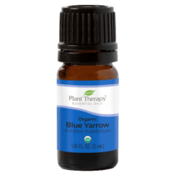 Yarrow Blue Essential Oil by Plant Therapy - 5ml